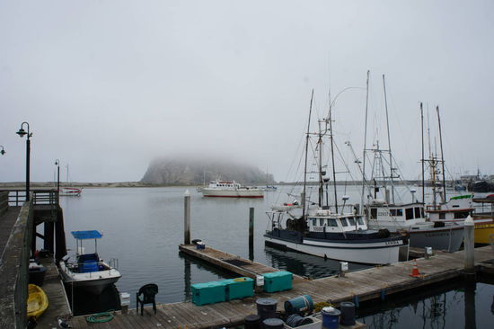 der beschauliche Hafen von Morro Bay