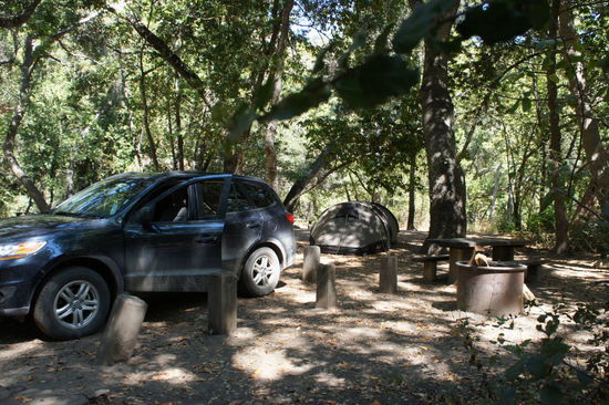 Campsite im Pfeiffer Big Sur State Park (viele grüne Pflanzen, viel blaue Vögel)