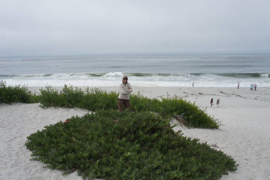 am Strand von Carmel Beach..........
