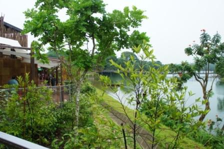 Zoo