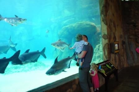 riesige Aquarien