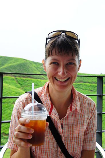 Prost mit Eistee von Cameron Highland Teesträuchern