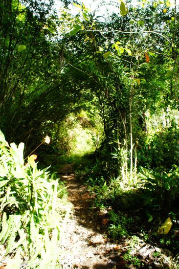 Eingang zu Tans Camellia Garden