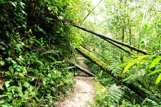 drüber klettern und drunter durch