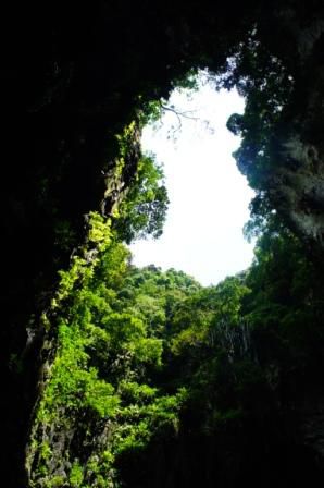 Blick nach oben
