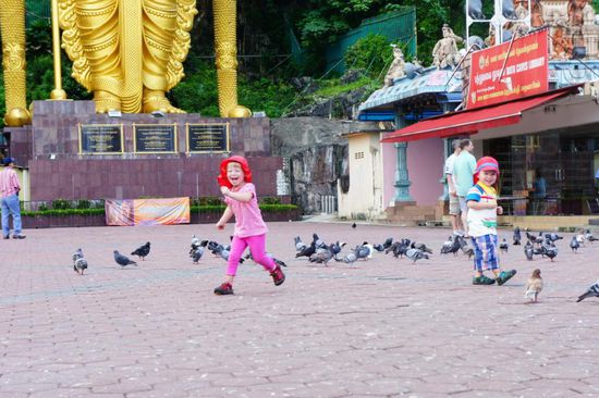 Spaß beim Tauben jagen ....