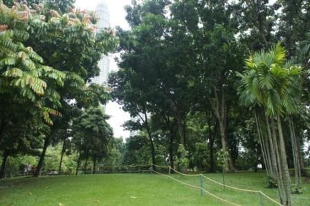 im Park hinter den KL Twin Towers