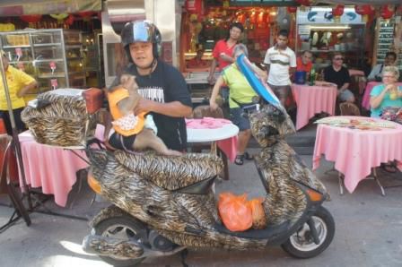 cooles Moped - der Sozius ist ein Affe, wenns Spaß macht - lustige Begegnungen auf dem Chinatown Market