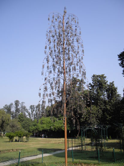 Windspielbaum im Rose Garden