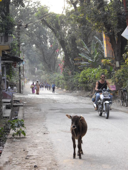 Indien wie es leibt und lebt
