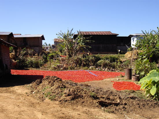 das rote sind Chilis, die zum trocknen aufgelegt sind.