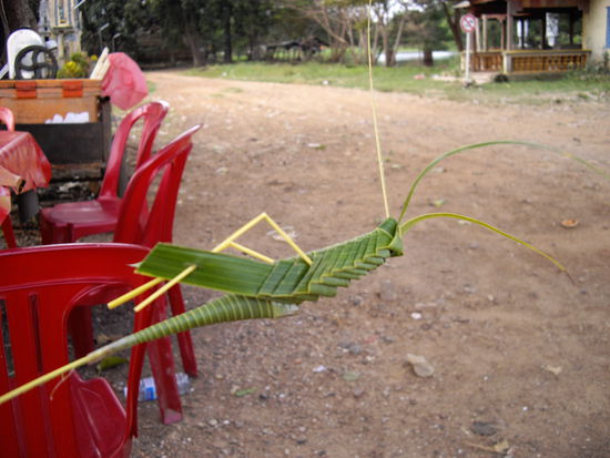 meine erste selbstgemachte Heuschrecke!