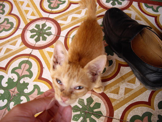 and I made friends again!