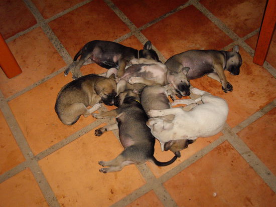 unser Unterhaltungsprogramm