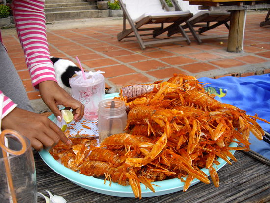 hmmm so lässt sichs leben...