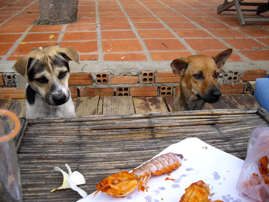 die beiden bekommen natürlich auch was ab
