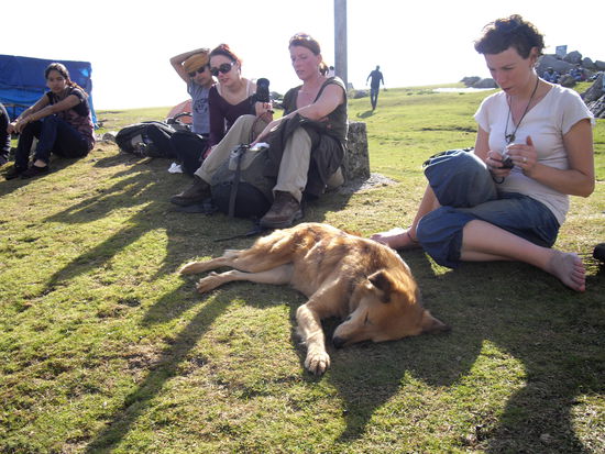 auch Loyal war müde nach dem Aufstieg