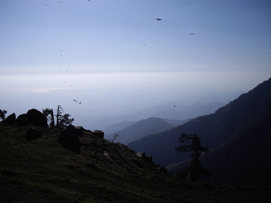 die vorhin beschriebene Smogglocke - man könnte sonst so weit sehen!