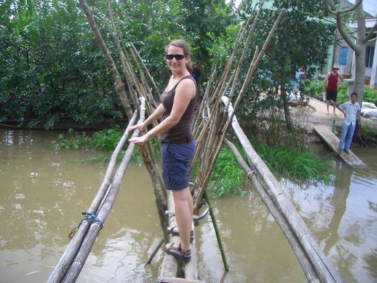 Monkey Bridge