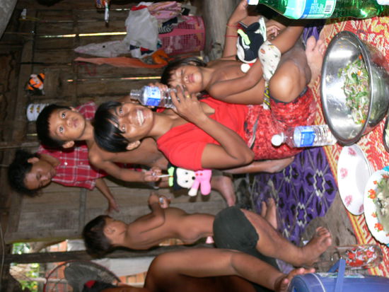 freude ueber die Sofftiere