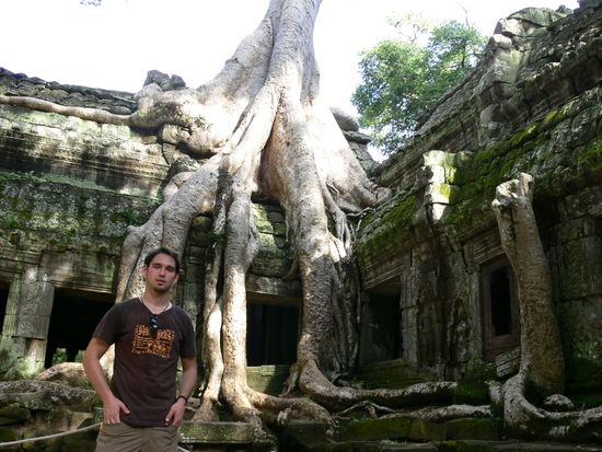 Urwaldtempel (unter anderem bekannt durch Tomb Raider)