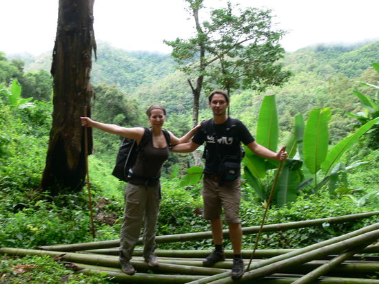ueber Stock und Stein und Bambus