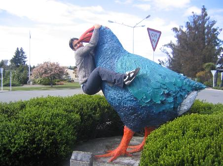 in Te Anau