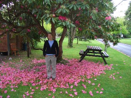 Blumenkind