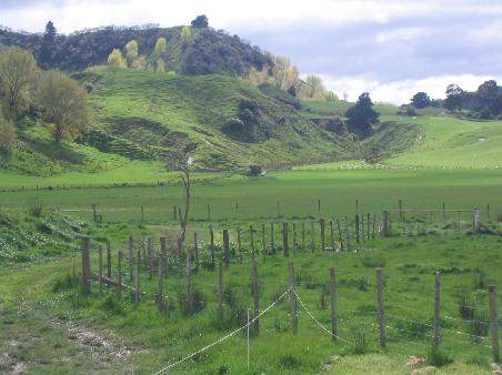 auf der Fahrt nach Taupo