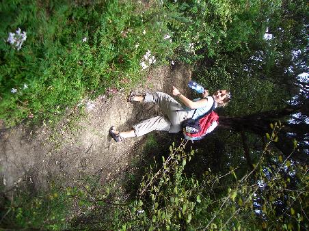 Bushwalk auf eigene Faust