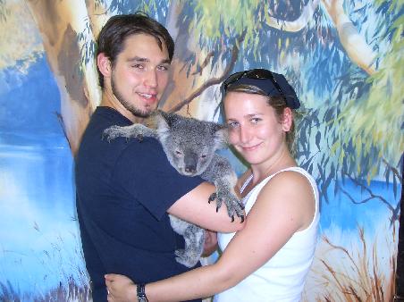 im Koalapark. (die sind soooo suess; aber denen sollte mal jemand die Fingernaegel schneiden!)
