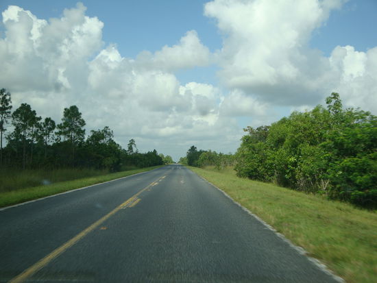 Die Straße durch den Everglades Park