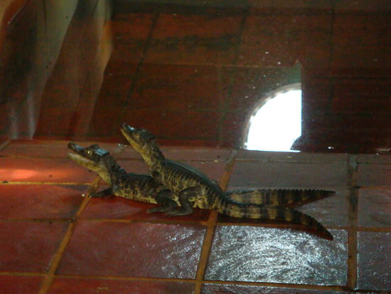 haha ohne Kommentar! 