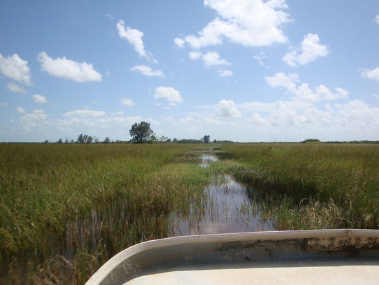 mit dem Airboat unterwegs