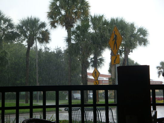 kurzer Regen und dann kam wieder die Sonne raus aber die knapp 40 Grad hat es durchgehend