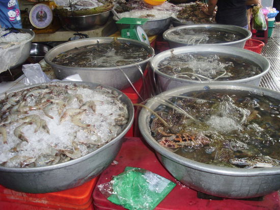 Lecker Fishfood vom Markt?