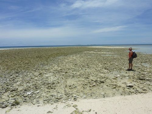 Wandern auf Korallen