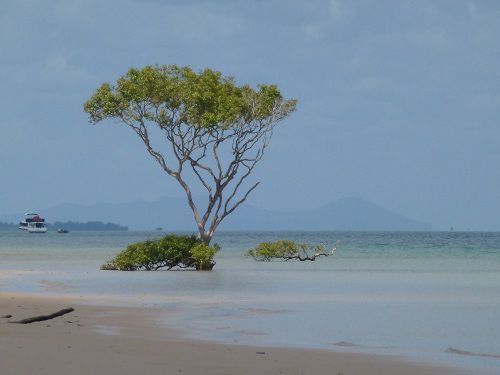 von Fraser Island