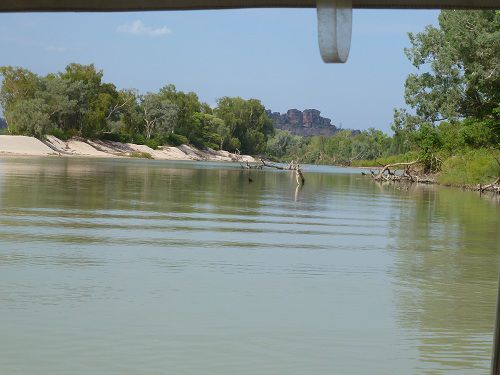 Aligator River