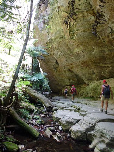 Wards Canyon
