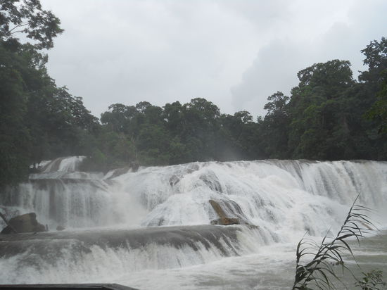 Agua Azul...