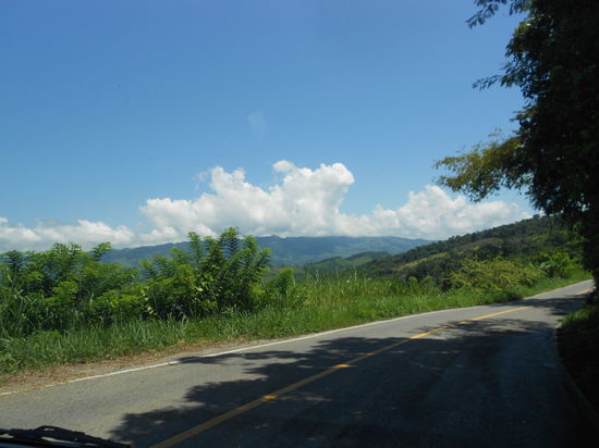 Aussicht aus dem Rentnerbus 