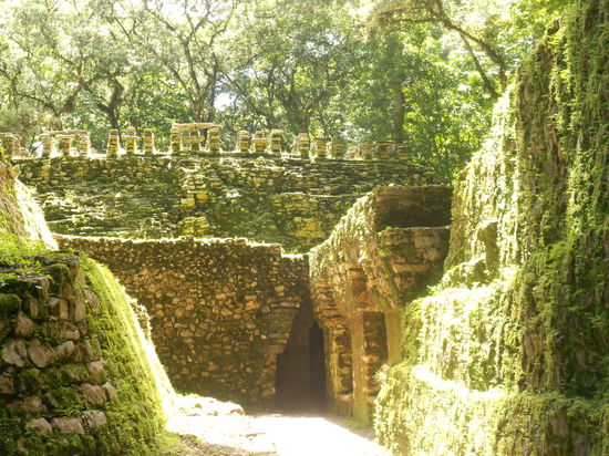 Eingang zu den Fledermaeusen und Spinnen
