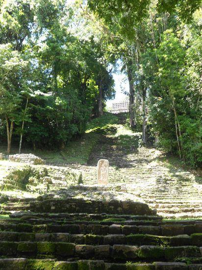"Der steinige Weg zum Gipfel"