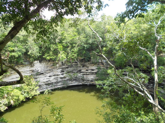 Eine Cenote in der Naehe der Ruinen, in der Kinderknochen gefunden wurden...
