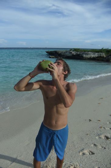 Durst? - kurz paar Kokosnuesse gesucht und geknackt 