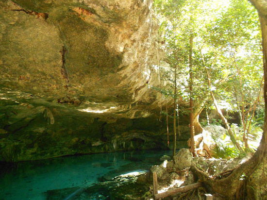 Eine der "Dos Ojos" Cenoten