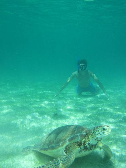 Das im Hintergrund bin dann ich 