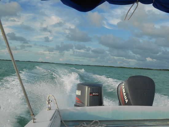 Aussicht vom Speedboot 