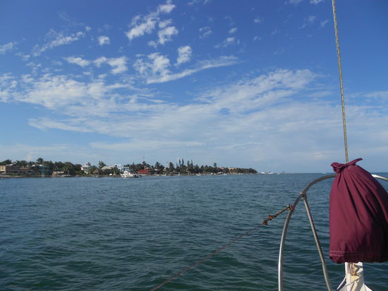 Aussicht vom Boot auf Caye Caulka!